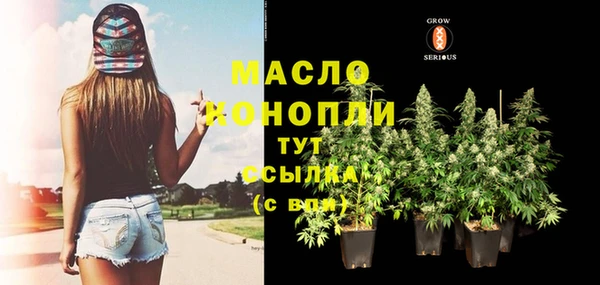винт Новозыбков