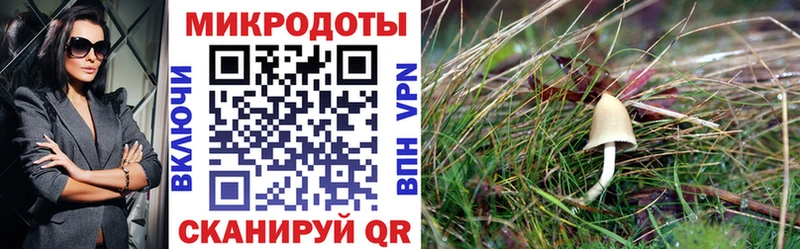 площадка телеграм  Темников  Псилоцибиновые грибы MAGIC MUSHROOMS  продажа наркотиков 